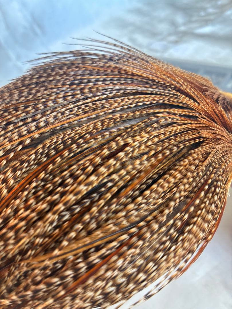 ホワイティングハックル、フックケース