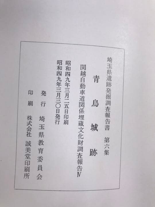 青鳥城跡　関越自動車道関係埋蔵文化財調査報告 Ⅳ