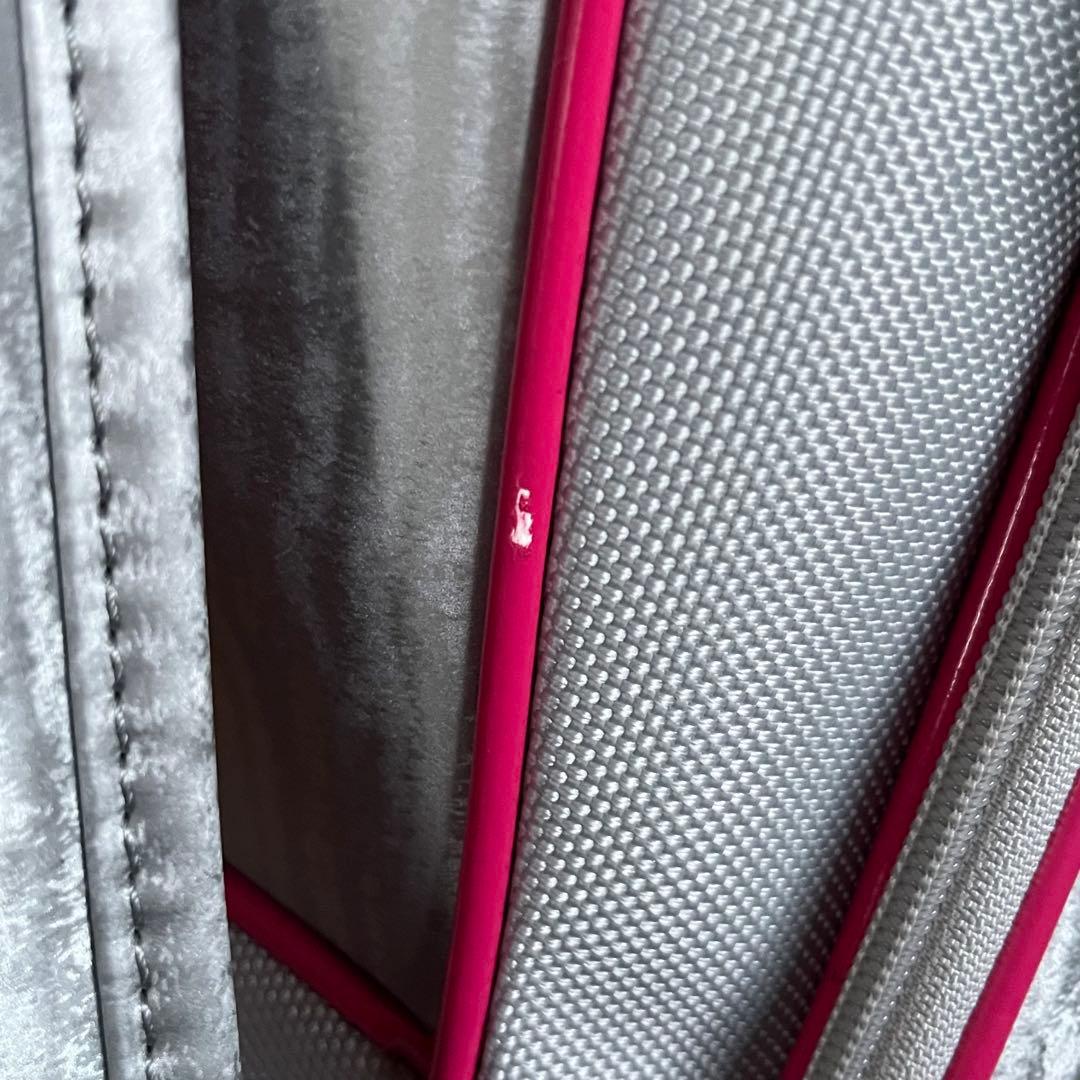 希少! NIKE GOLF ナイキゴルフ キャディーバッグ レディース