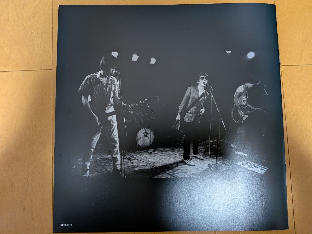 ルースターズ サンハウス ARB モッズ 村八分 ミッシェルガンエレファント