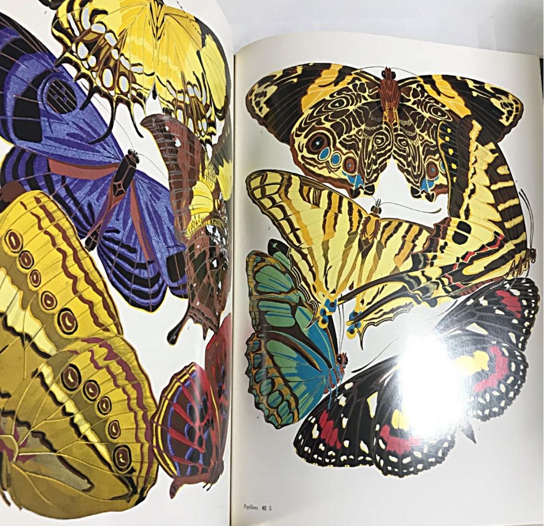 希少⭐️アール・デコ装飾文様⭐️２冊