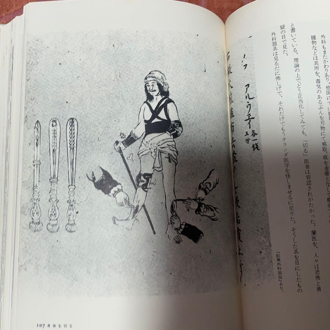 江戸の身体を開く