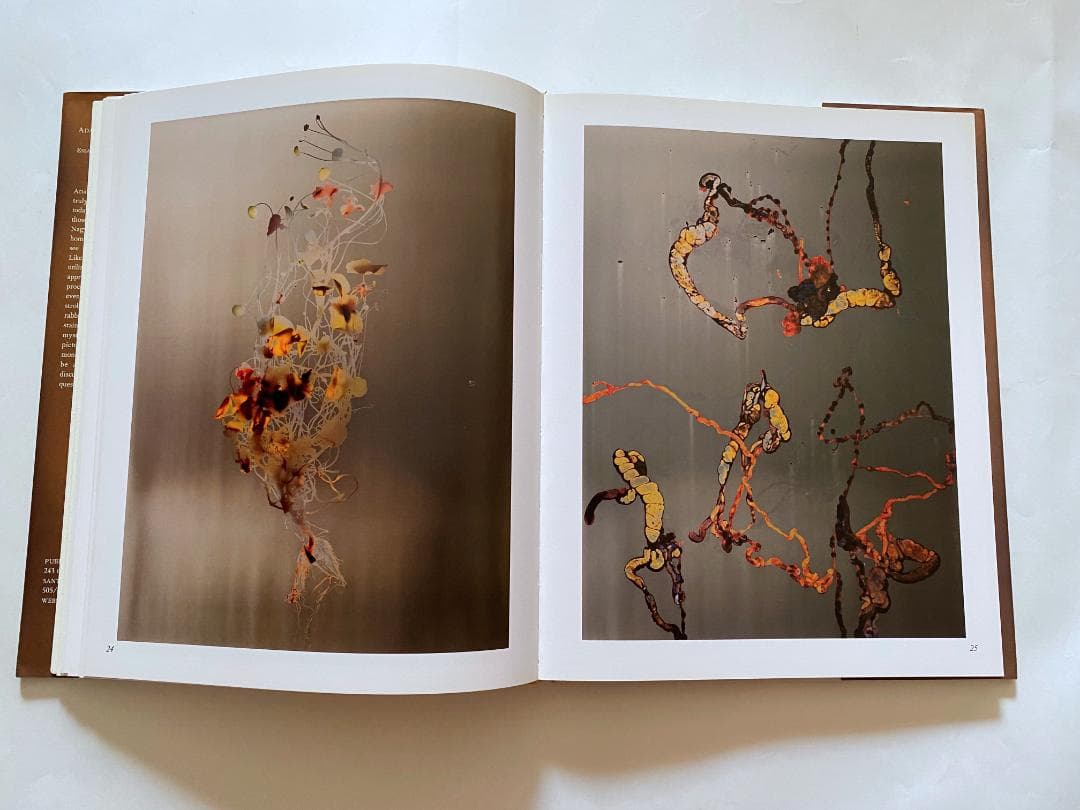 アダム・フス写真集「ADAM FUSS: 1988-1997」