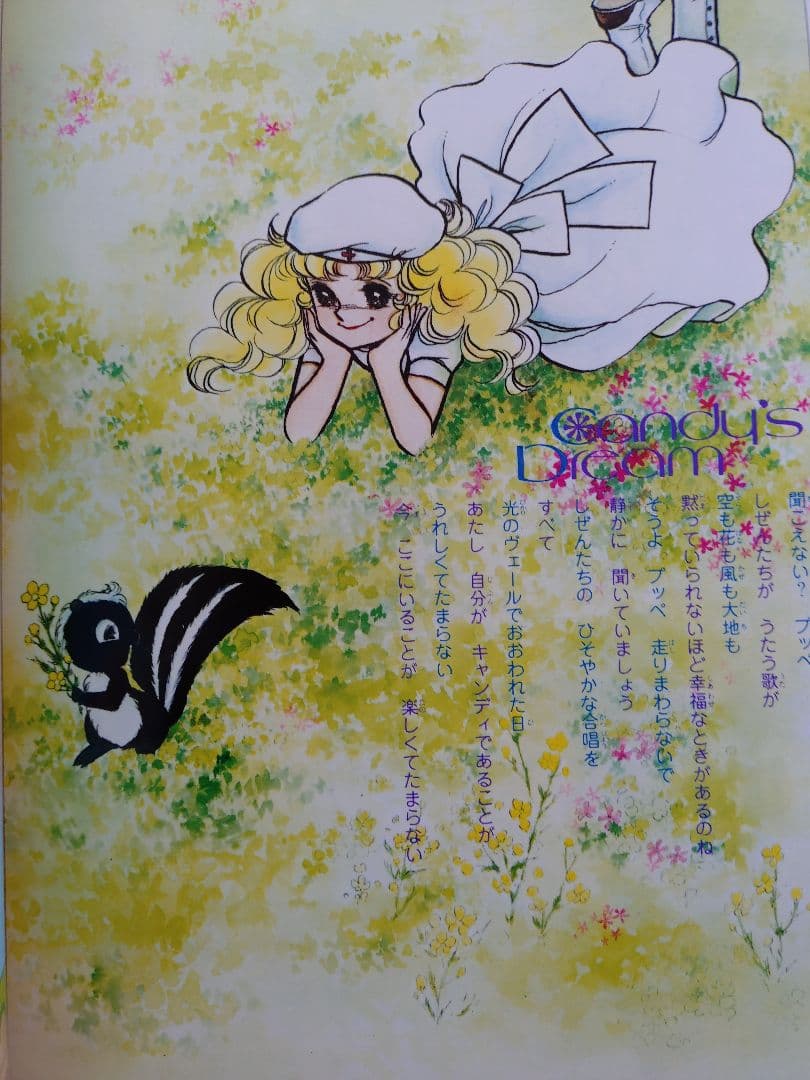 キャンディ・キャンディ イラスト集 2冊＋付録