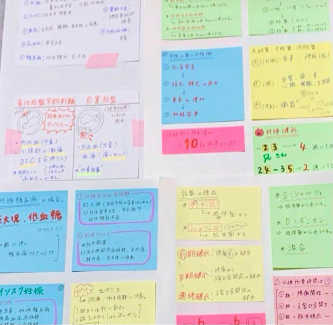 希望額セール！　大好評！付箋700枚　看護学生　看護師国家試験　付箋ノート解剖学