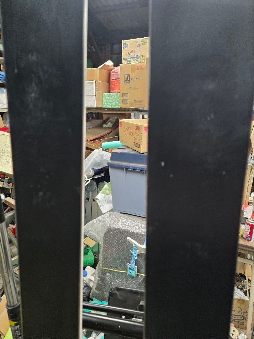 FISCHER RC4 GS 195cm R35 チューン済　スキー FIS対応