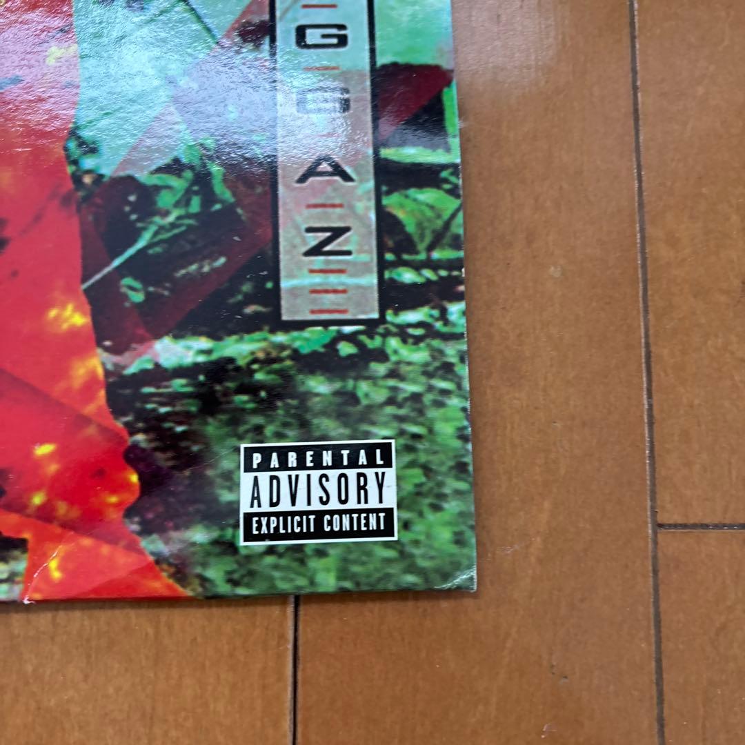 2Pac STRICTLY 4 MY N.I.G.G.A.Z. レコード