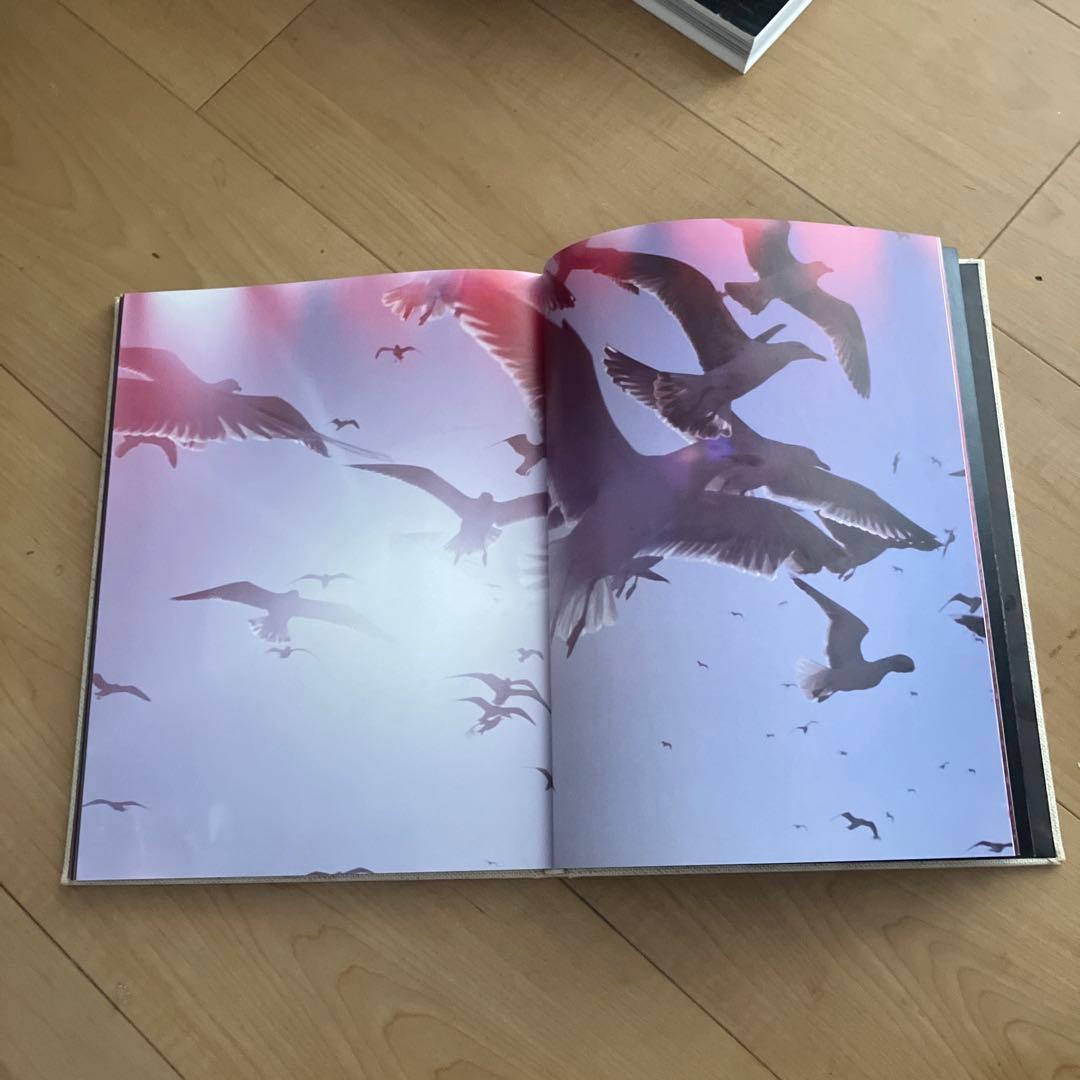 アート写真集「マーク・ボスウィックAbandon Reverie」現代アート