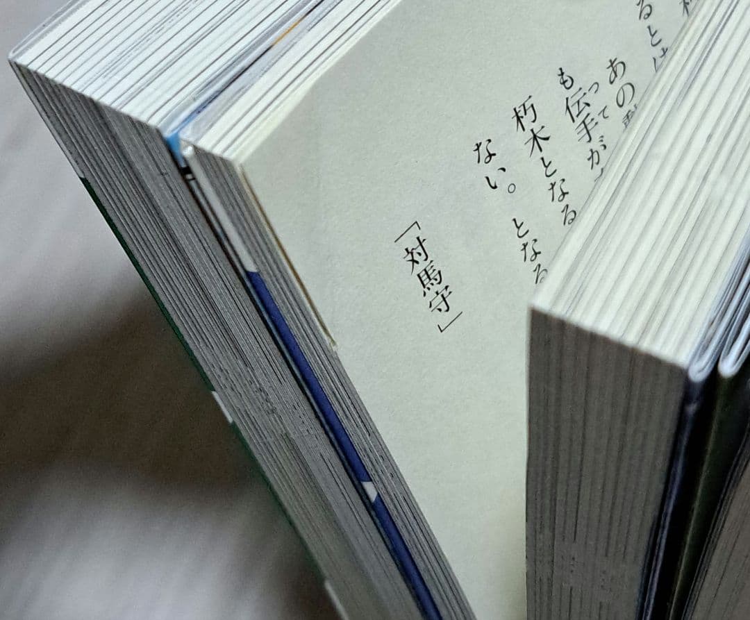 淡海乃海 水面が揺れる時 1~14巻 異伝 5巻 外伝集 2巻 イスラーフィール