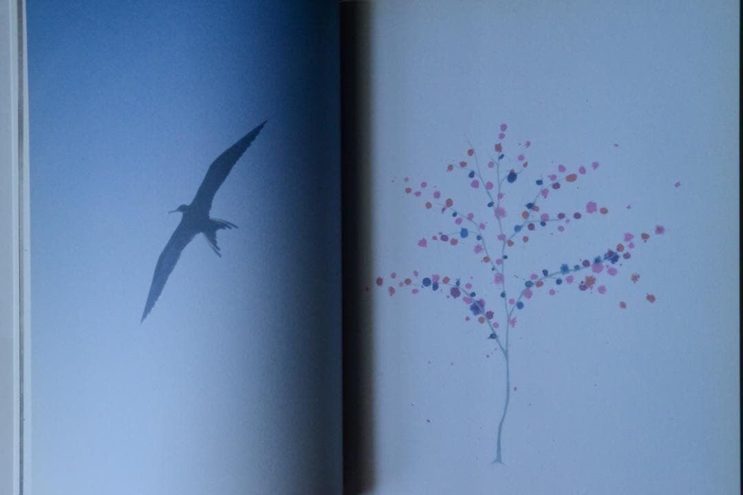 【Mark Borthwick：The Heart Land 】★美本