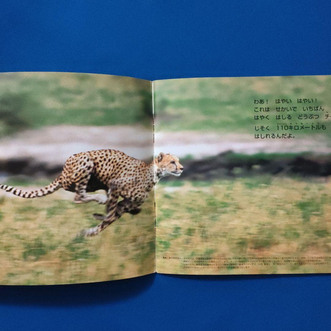 ビックサイエンス　キンダーブックしぜん　どうぶつ世界一　いきものチャンピオン