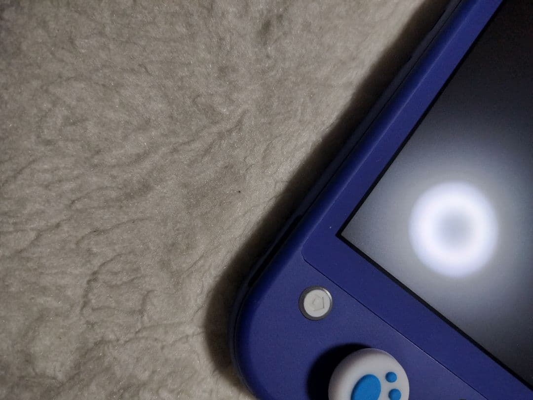 動作品Nintendo Switch Lite ブルー良品肉球カバーつき