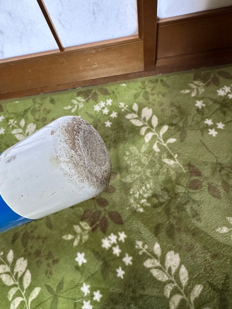 久保田スラッガー　ノックバット