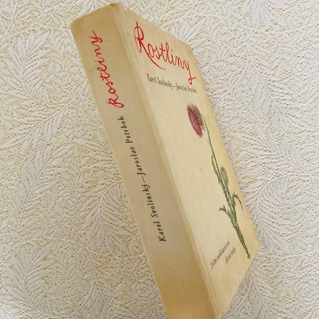 洋書　古書　美しいチェコの植物図鑑　野の花図鑑　優美な植物画273点♡