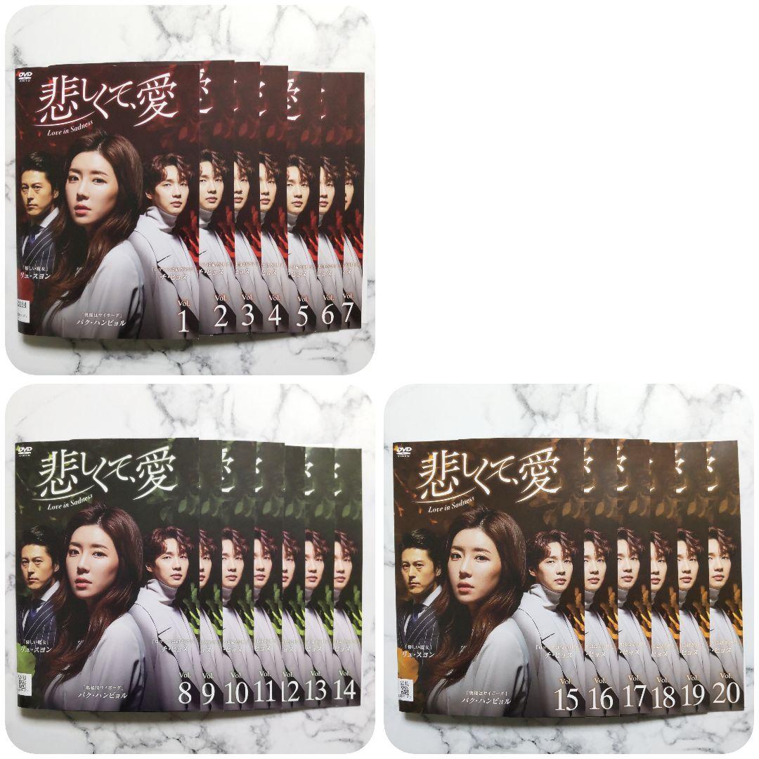 チ・ヒョヌ★リュ・スヨン『悲しくて、愛』レンタル落ちDVD★全巻