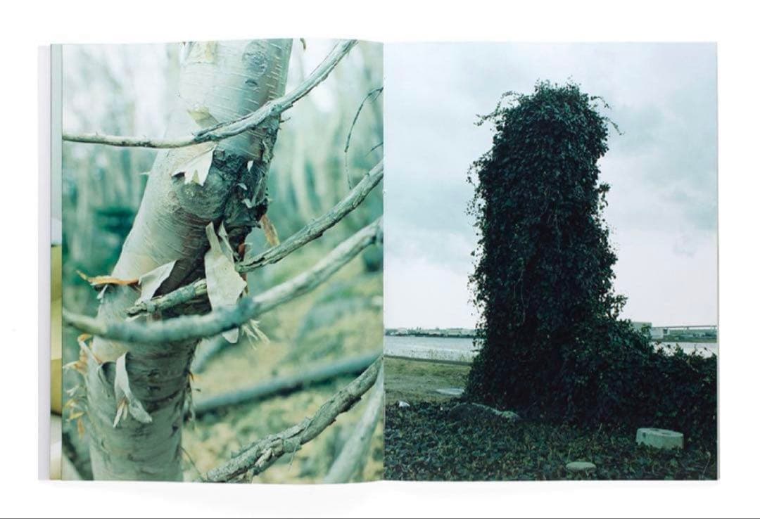 絶版‼️ 細倉真弓 KAZAN Mayumi Hosokura