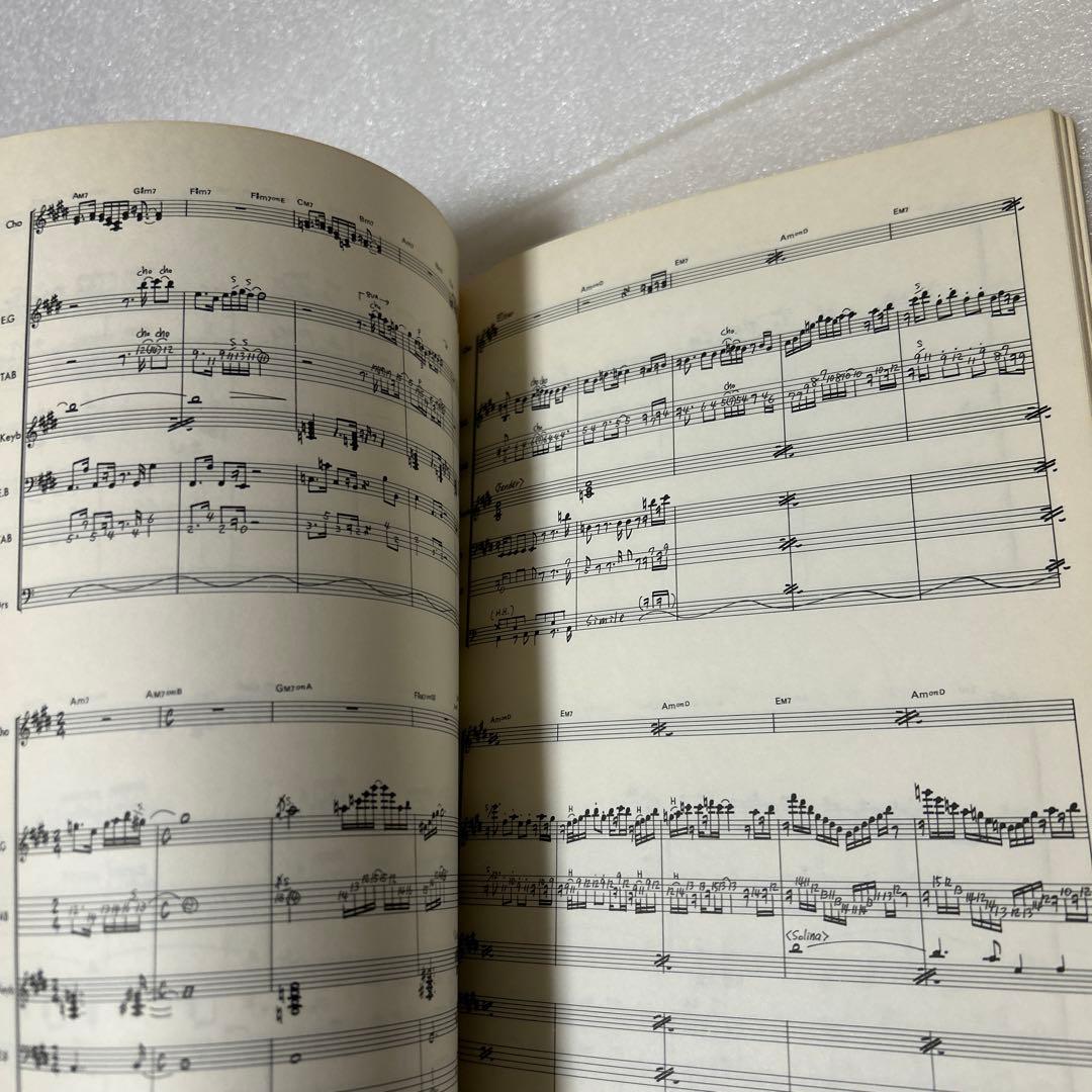 バンドスコア　高中正義 CAN I SING?