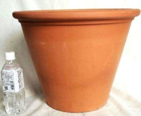 大特価！現品限り！イタリー製大型バッサムポット430mm