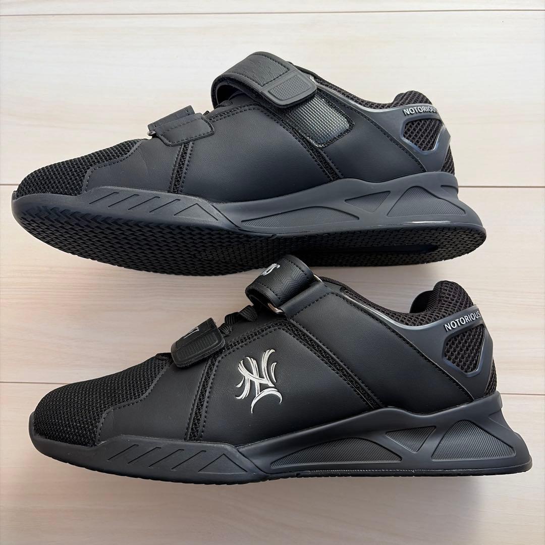 NOTORIOUS LIFT ローニンリフターズ ステルス / 43