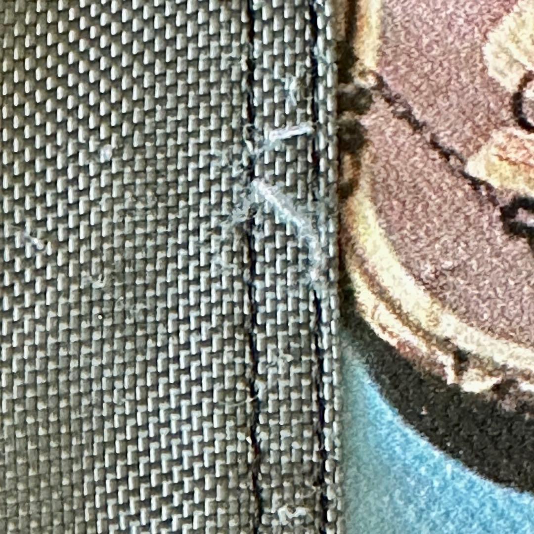 【激レア】2000年初頭 Timbuk2 限定版メッセンジャーバッグ