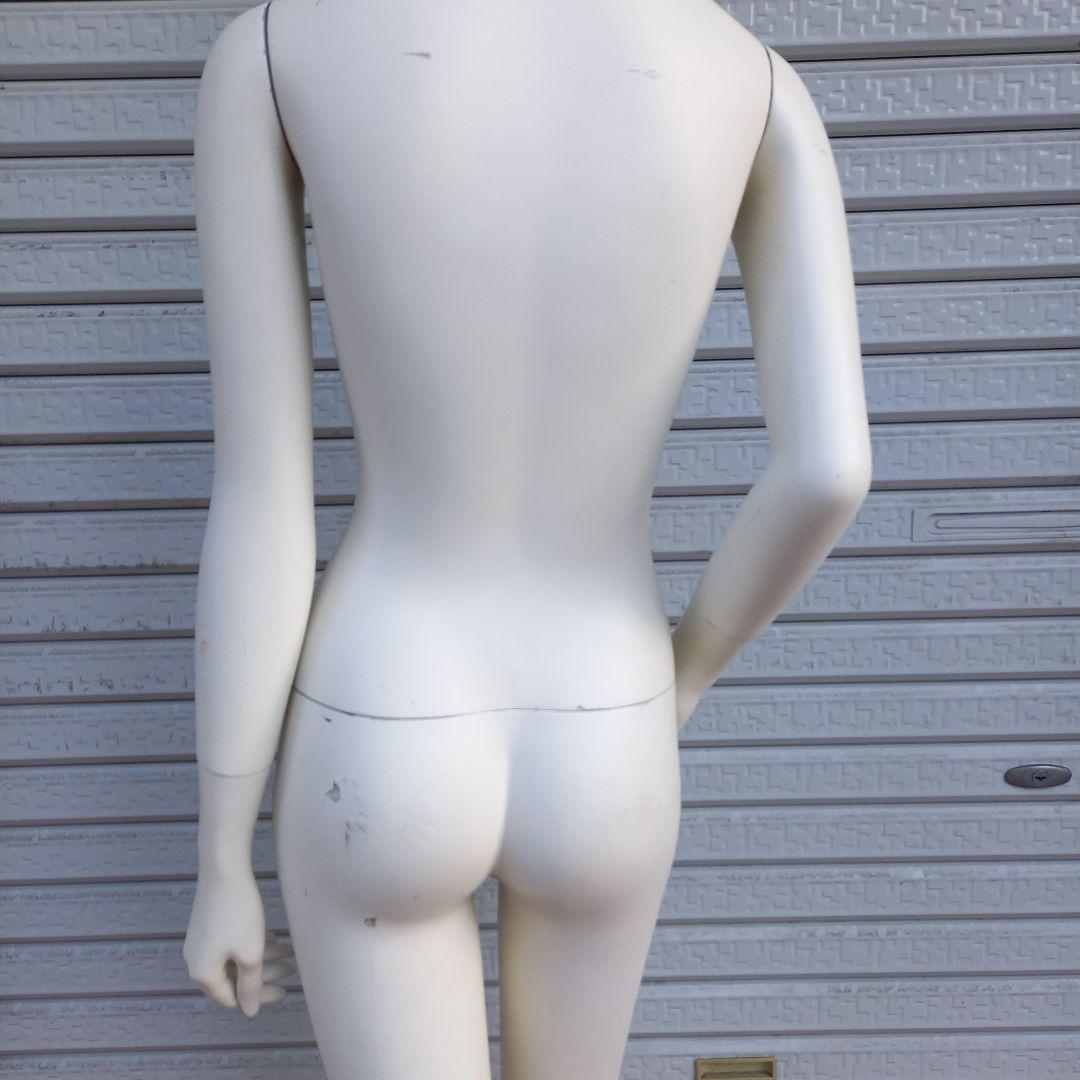 レディースマネキン 180cm ANAYI-2 トルソー ディスプレイ 婦人