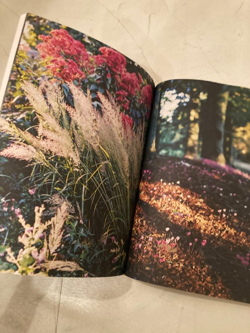 写真集Francois Halard フランソワ・アラール