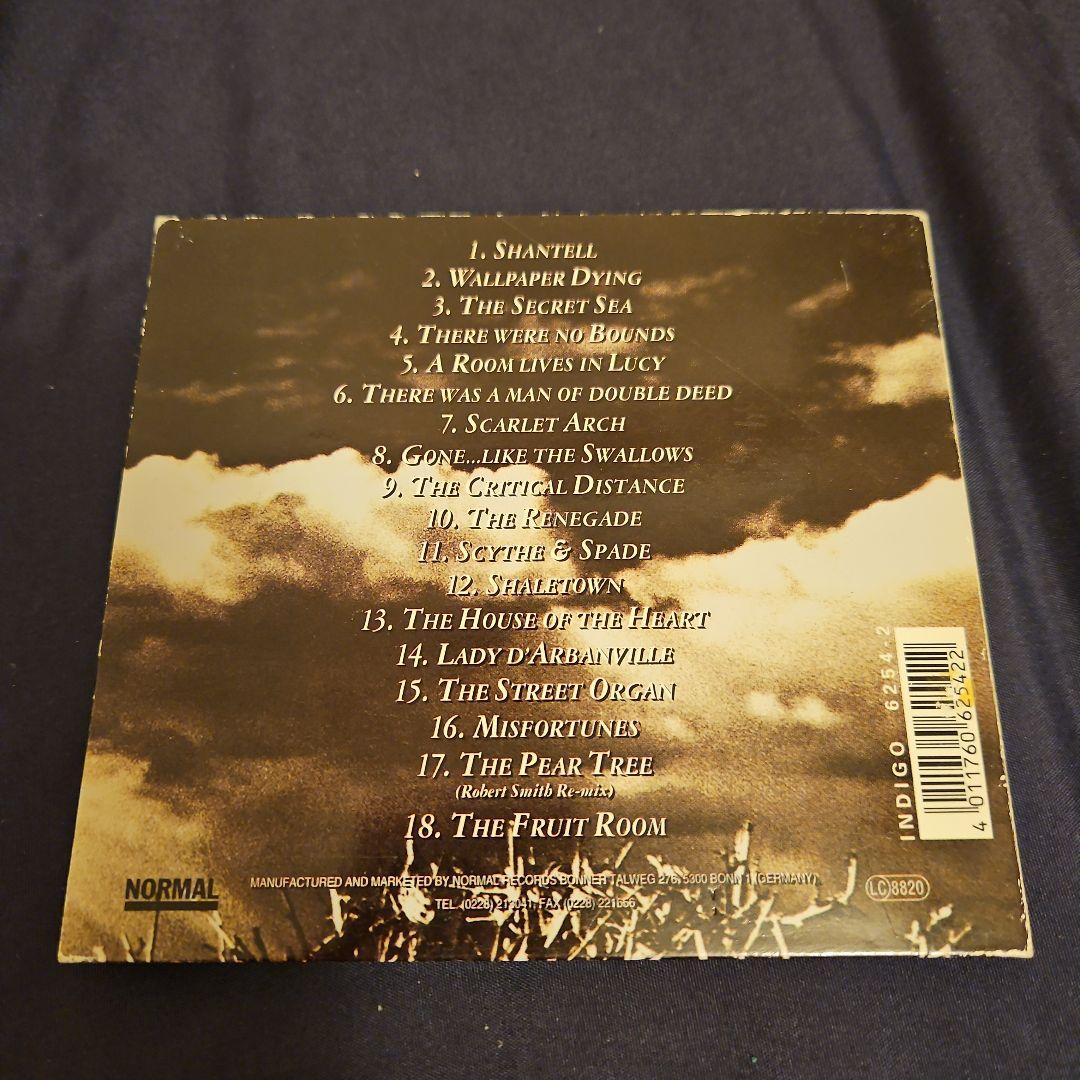 洋楽 AND ALSO THE TREES