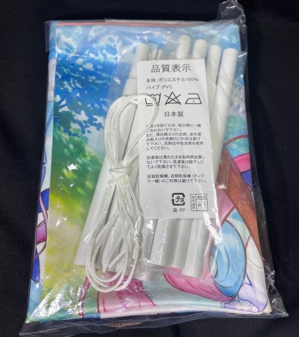 ホロライブ 湊あくあ Nintendo switch あくありうむ 生産限定版