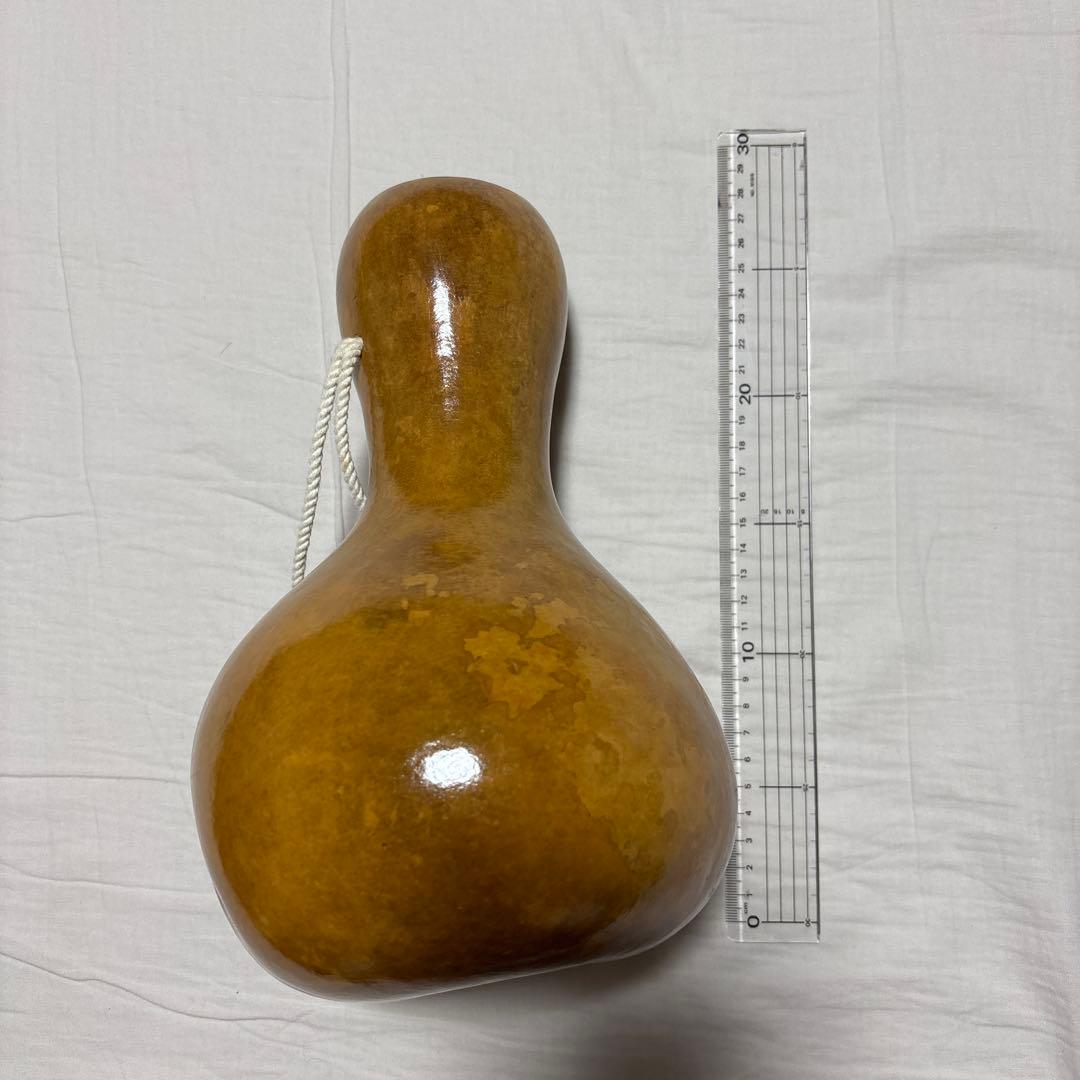 Maliuani フラダンス用イプ巾着袋付き