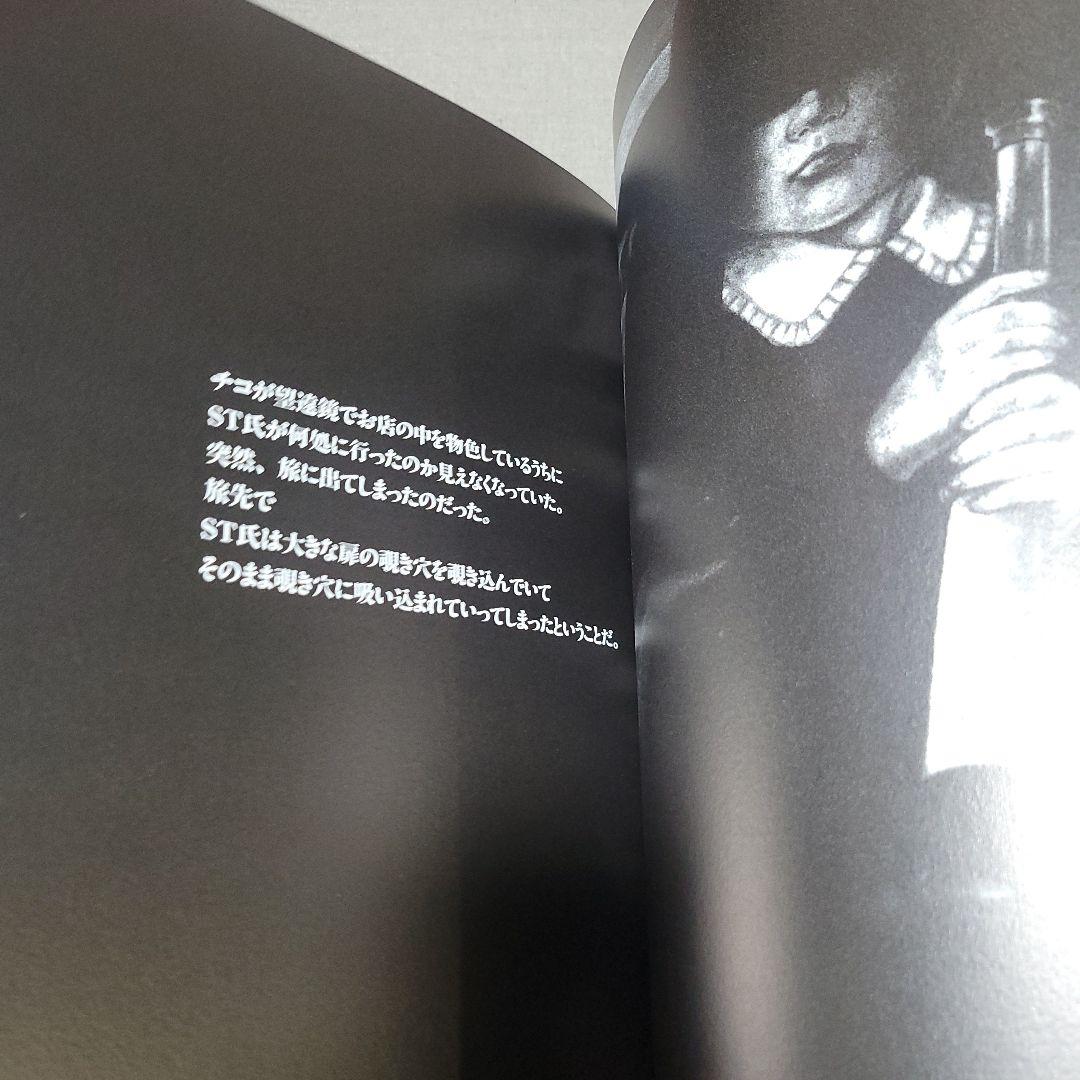 チコの時空間旅行　中江嘉男　上野紀子　絵本