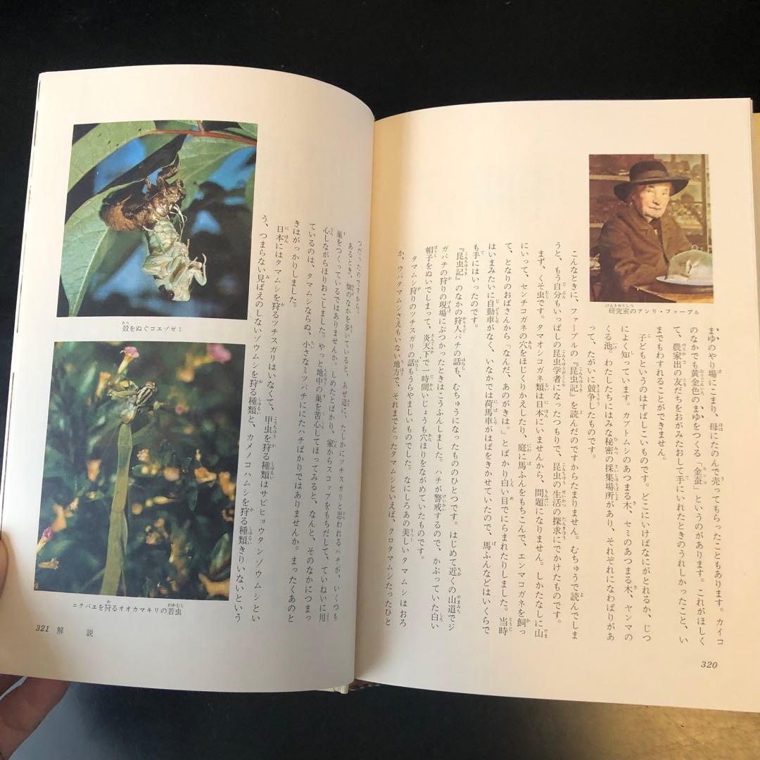 古書　昆虫記　カラー版　少年少女世界の文学　レトロ　河出書房　昭和