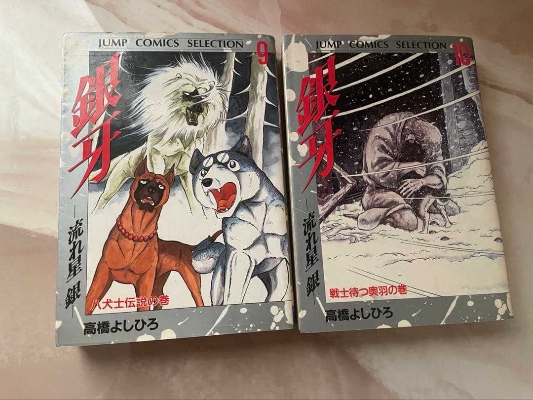 銀牙⭐︎流れ星銀　1〜10巻　ワイド版