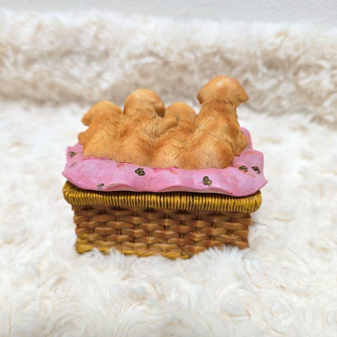 新品 かわいい子犬 小物入れ 外箱あり