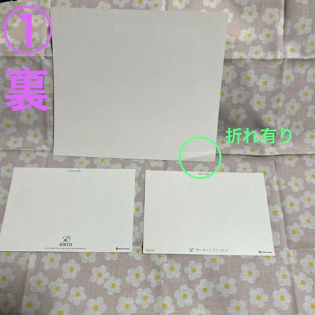 【V系】D CD全12枚（オマケ付き）