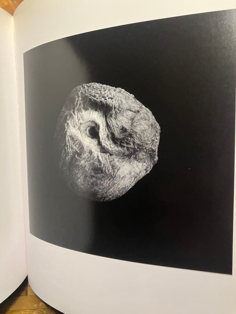 アート・デザイン・音楽 The Nature of Photography Stephen Shore