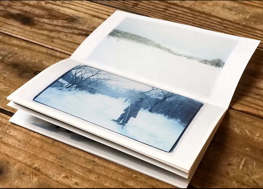 【最安値】未草 アルバム haruka nakamura feat. LUCA