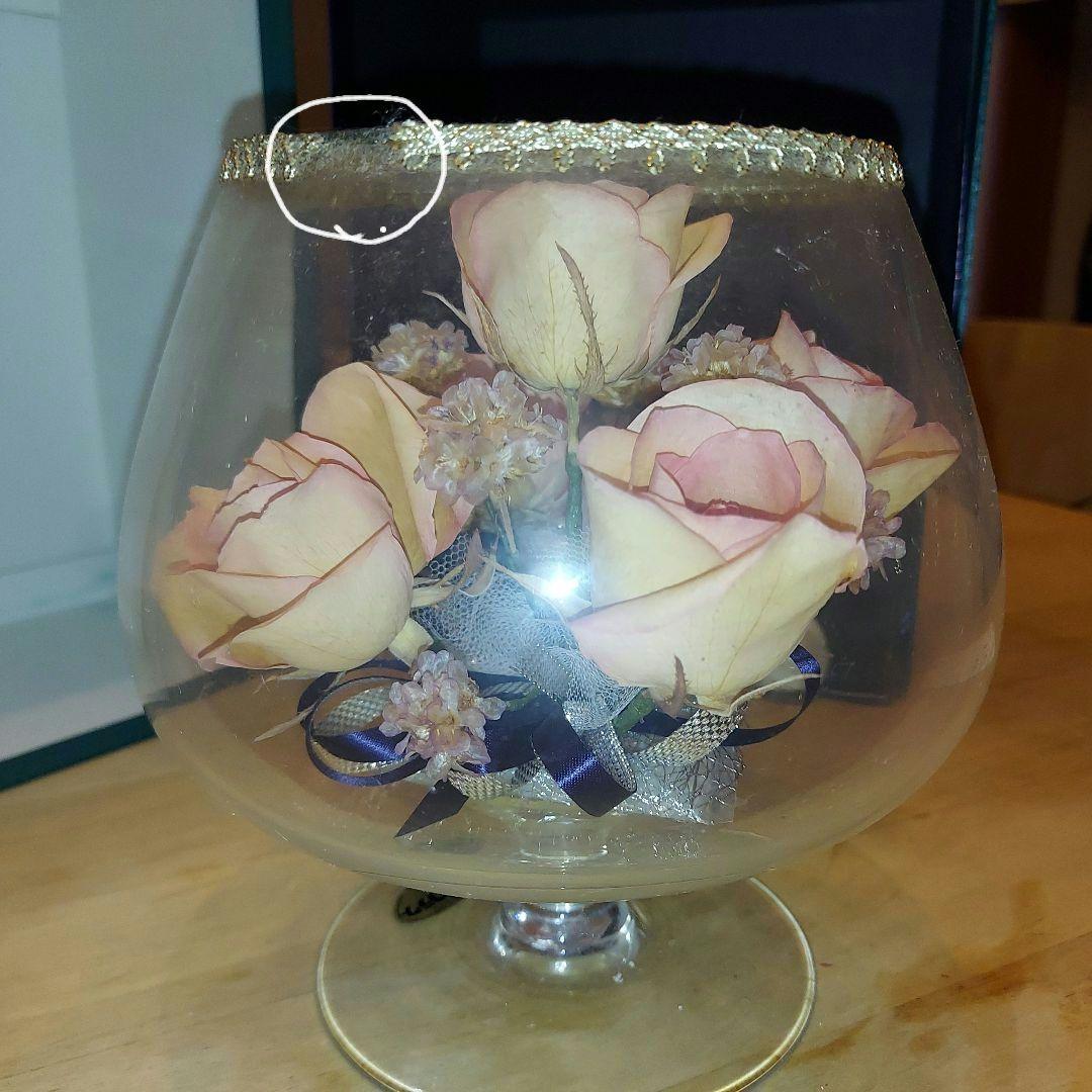 Irish Dresden Ireland　白鳥　レース　ピンク　置物