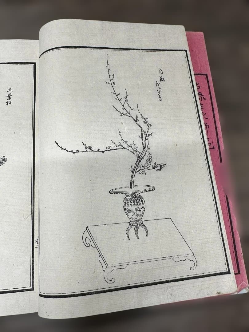 生花古流百瓶 東京松山堂 2冊 明治37年 和本 古書 古文書