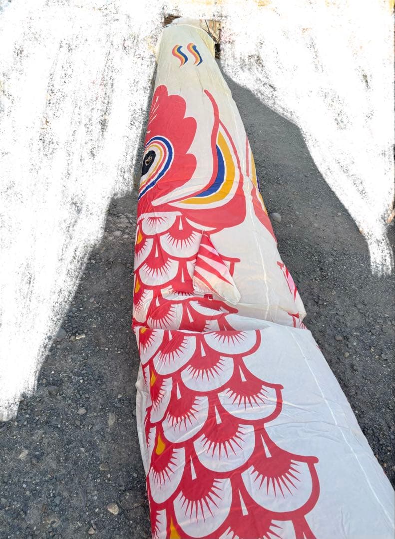 鯉のぼり 赤色 単品 端午の節句 こどもの日