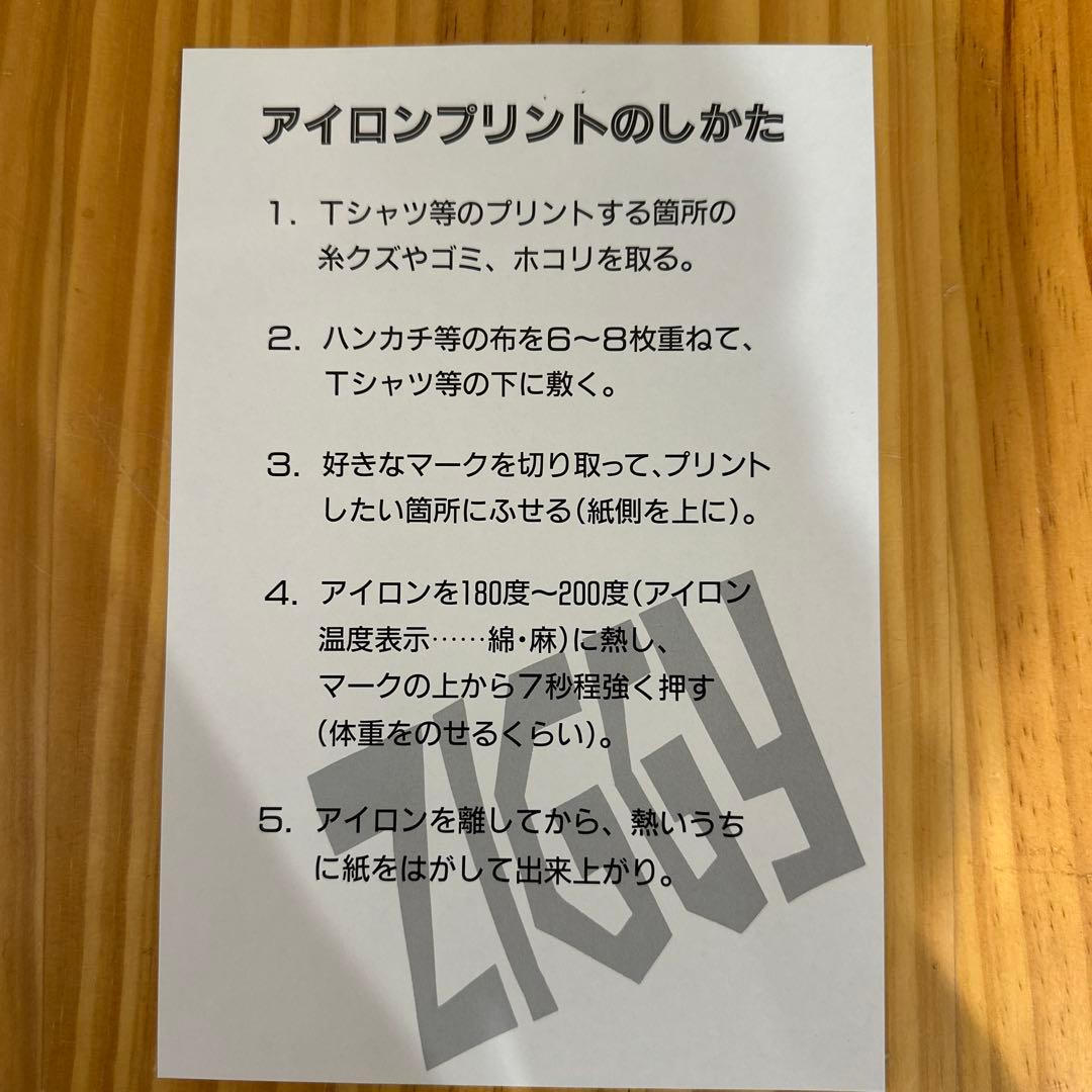 邦楽 ZIGGY / IN WITH THE TIMES