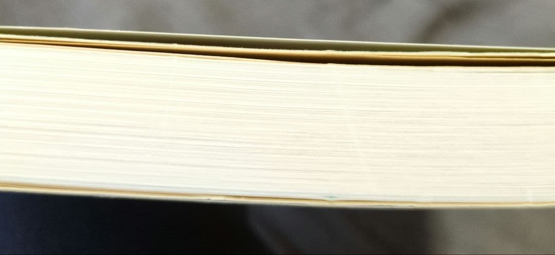 ベーグルレシピハンドブック : プロに学ぶ基本製法とバリエーション