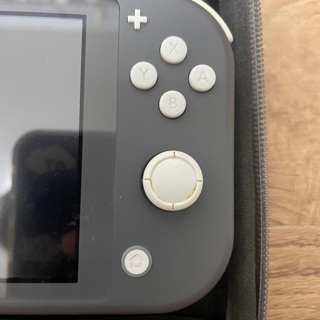 (ジャンク)Nintendo Switch Lite グレー 充電器・ケース付き