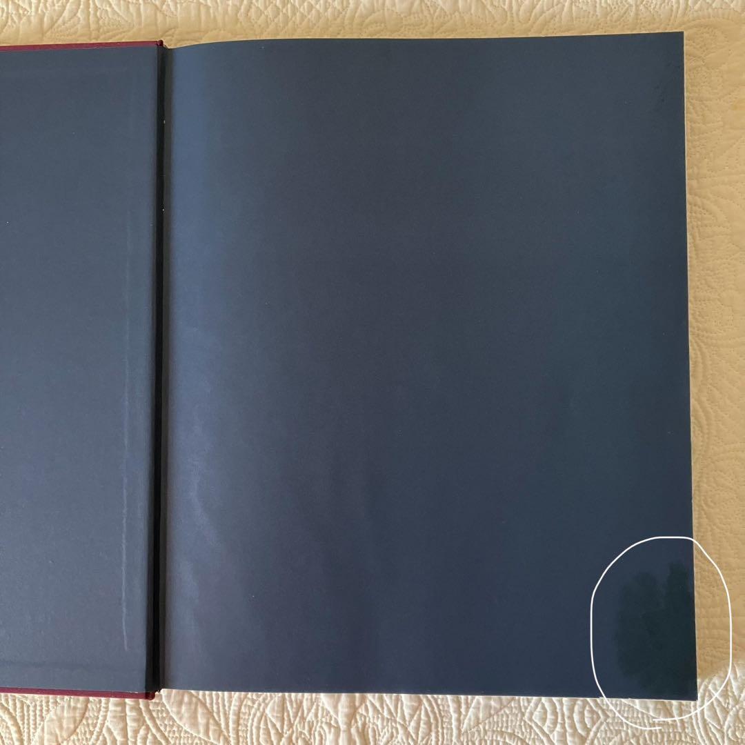 ART TO WEAR - JULIE SCHAFER DALE 洋書