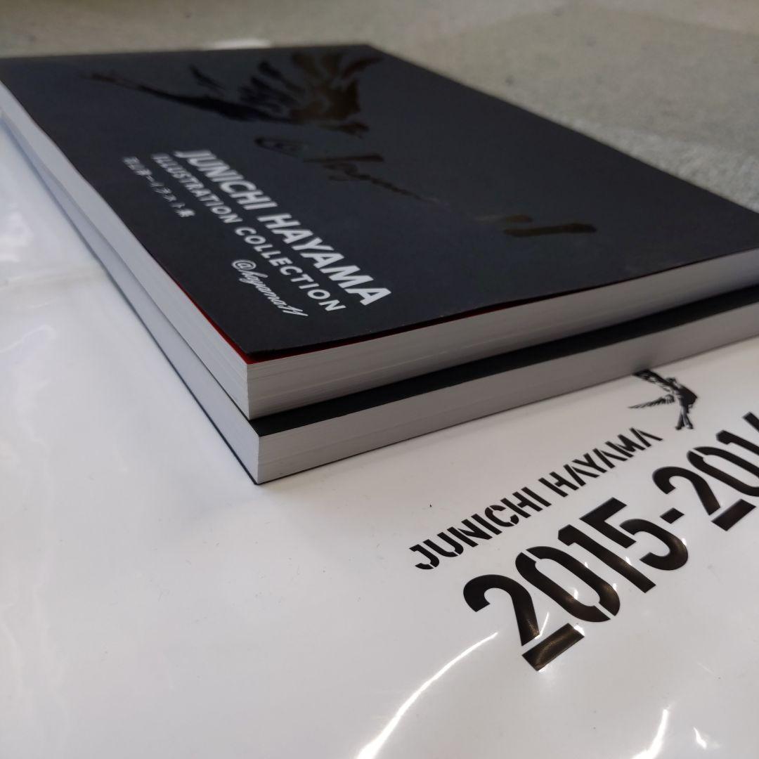 羽山淳一　JUNICHI HAYAMA イラスト集 1・2巻セット