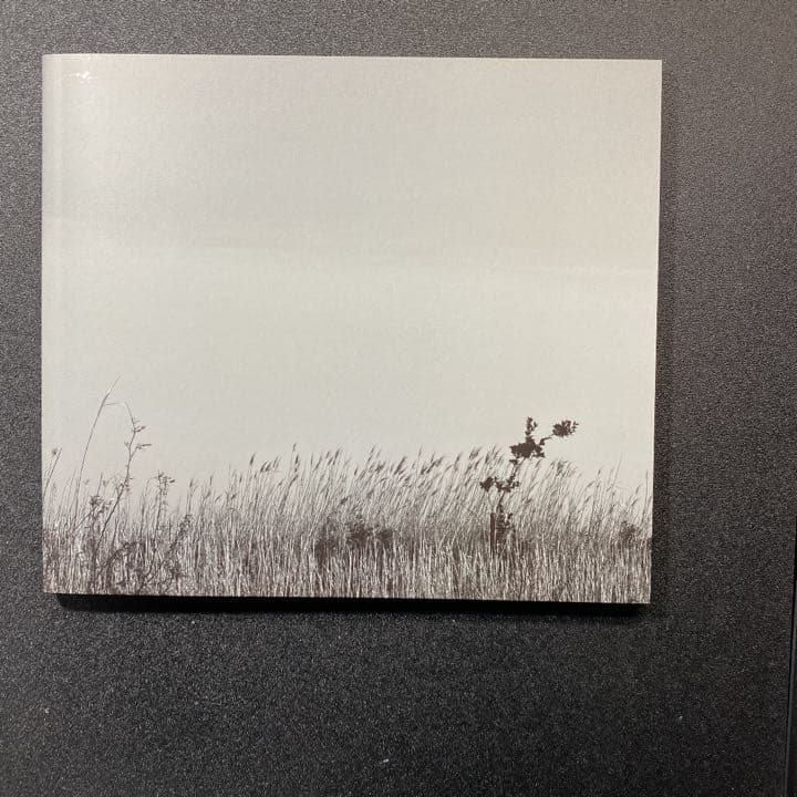 MISS TAKE-僕はミス・テイク- 完全生産限定盤