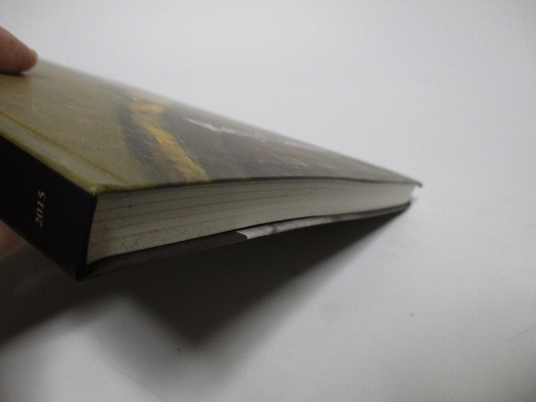 鴨居玲展　踊り候え　没後30年　図録