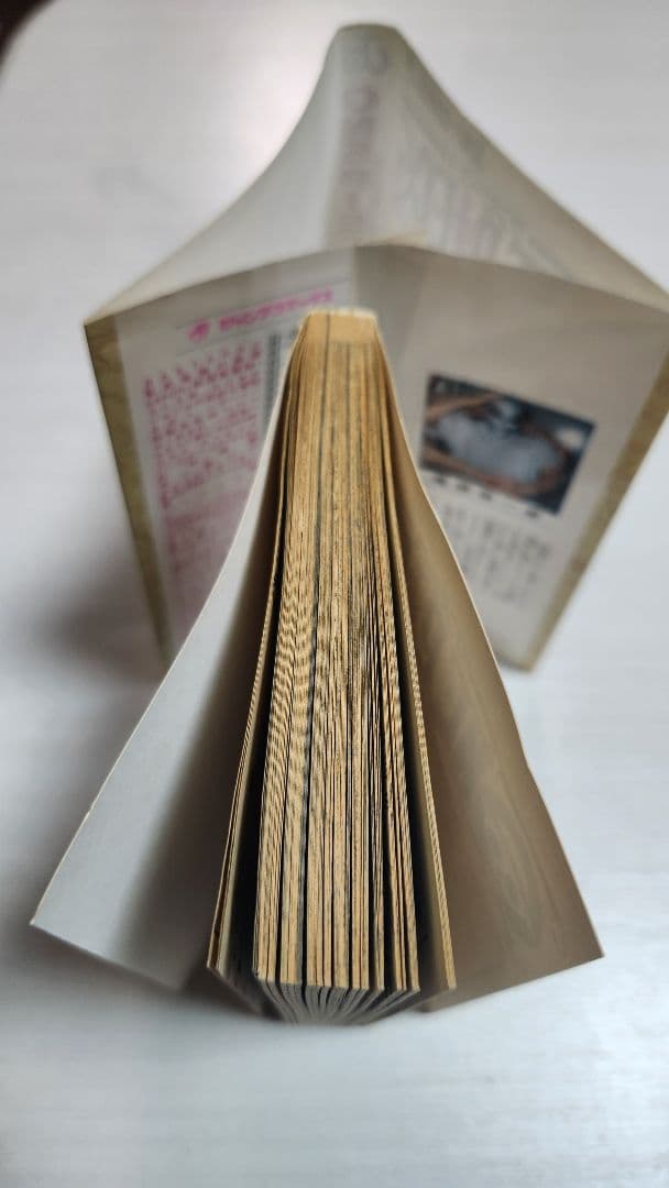 ワンピース 1巻 初版 1997年発行 ONEPIECE