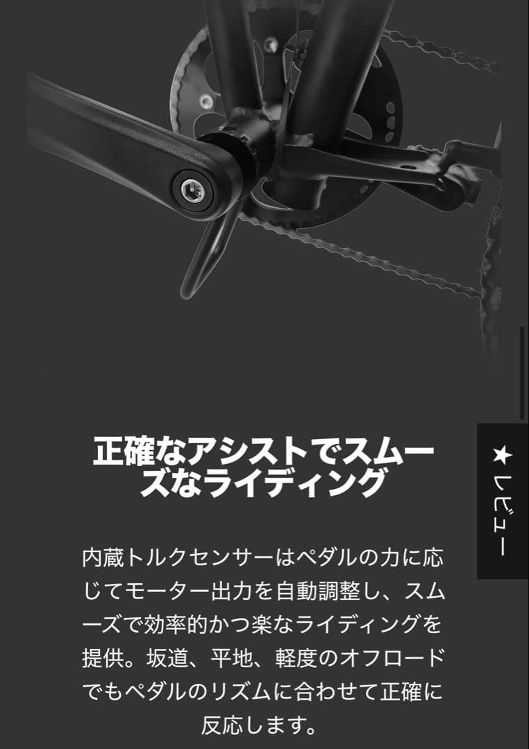 Retroease SWIFT 電動バイク / 電動アシストバイク ebike