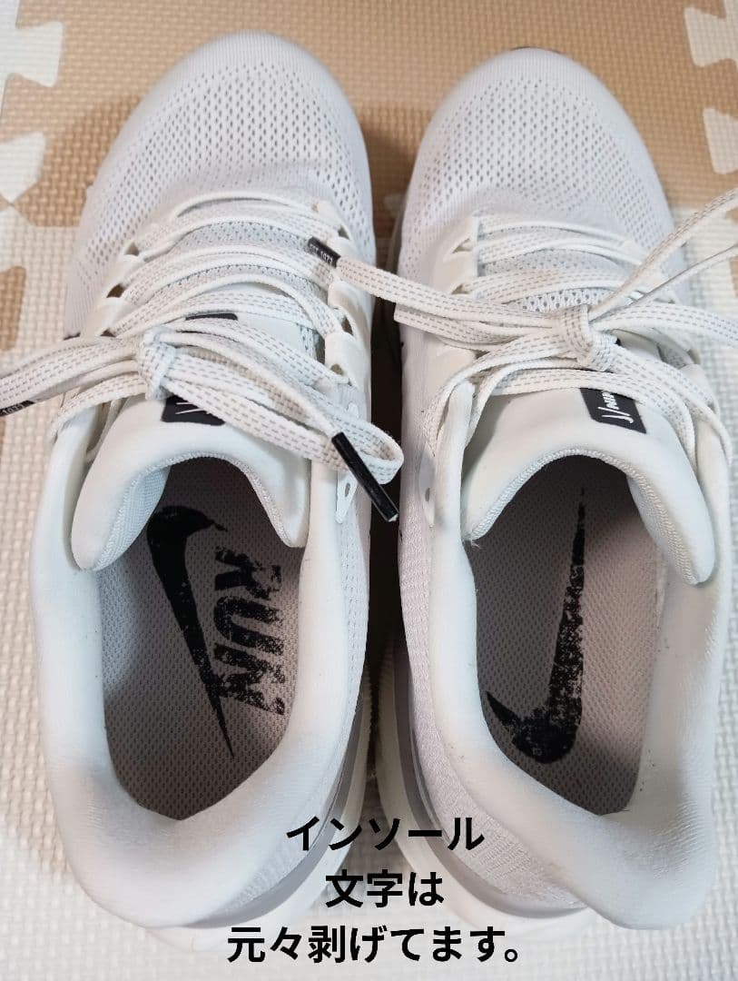 【限定カラー】26.5cm　ナイキ エアズーム ペガサス41　アルペン限定