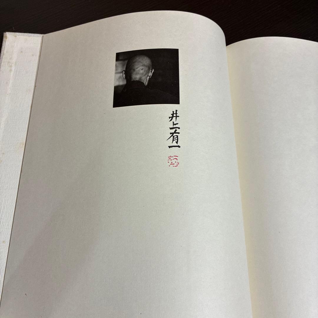 井上有一 臨顔氏家廟碑 学林出版社